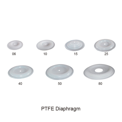 Diaphragm PTFE Air Operated Double Diaphragm Pump Parts
