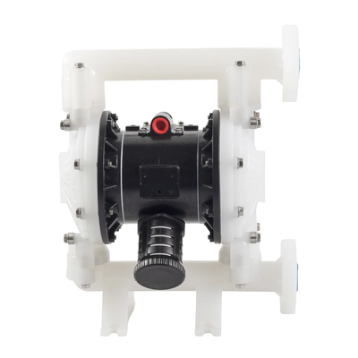 Chemicals Handling AODD Pump with Reversible Feature / Flanged Connection