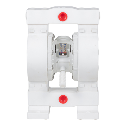 RV PTFE Diaphragm Pump 36lpm Max Flow 100psi Pressure