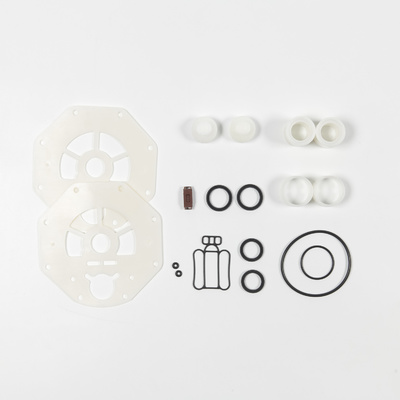 276cpm PTFE Diaphragm Pump with PP Pump Body and 1 Year Warranty for Car Wash and Road Cleaning