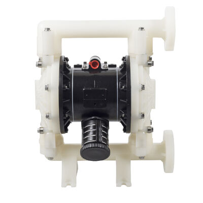 Customizable 120psi 40gpm PP Material Pneumatic Diaphragm Pump for RV Marine Boat with OEM Support
