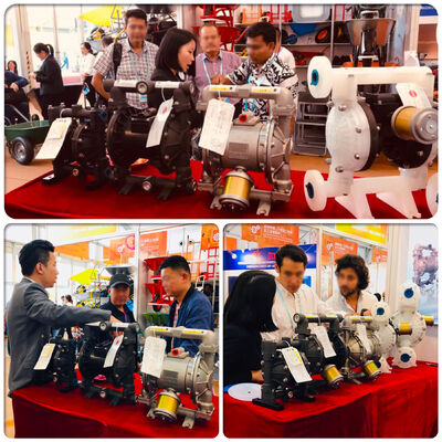 Aluminum Air Operated Diaphragm Pump with 57L/M Flow Rate for Water Treatment